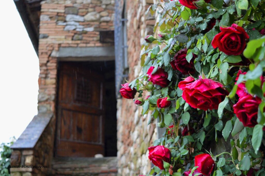 Monteriggioni, cosa vedere in 1 giorno con i bambini Monteriggioni, cosa vedere in 1 giorno con i bambini