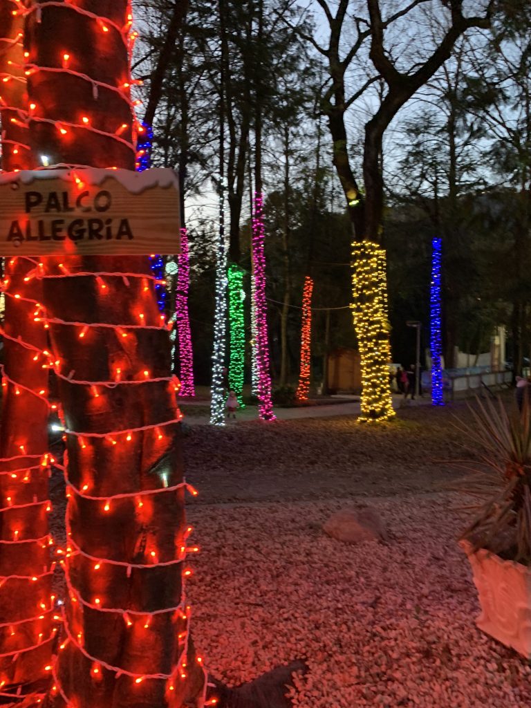 Babbo natale a Cassino, il bosco della favole, Lazio con i bambini, trevaligie