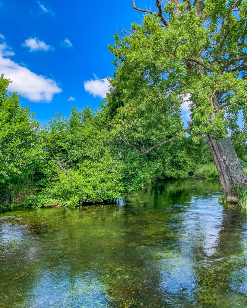 Sul fiume cavata in canoa e sup