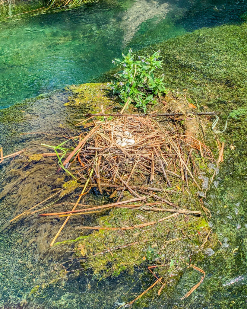 Fiume Cavata, escursione in sup e canoa