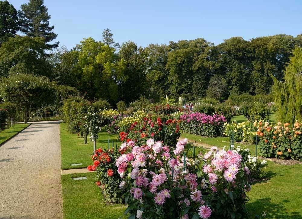 Cosa vedere a Rennes