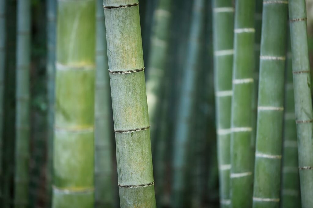 Prodotti ecosostenibili da mettere nel beauty case