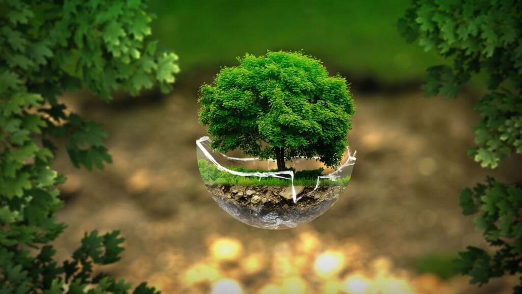 Prodotti ecosostenibili da mettere nel beauty case