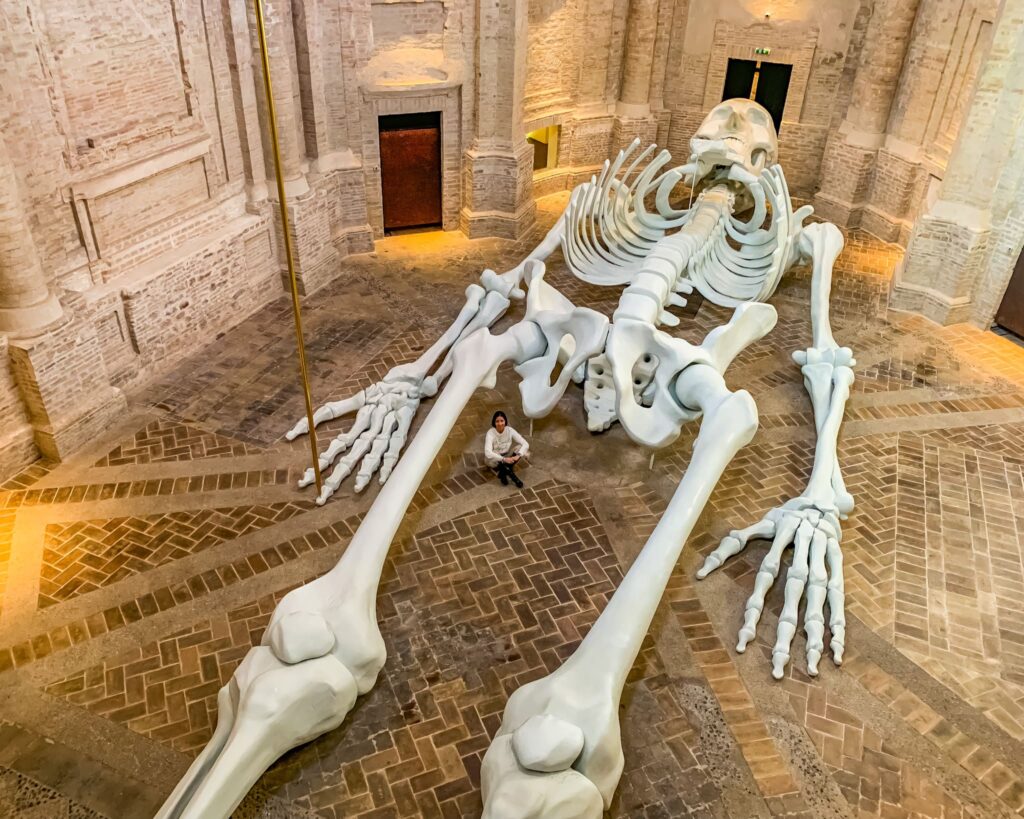 La Calamita Cosmica Cosa vedere a Foligno