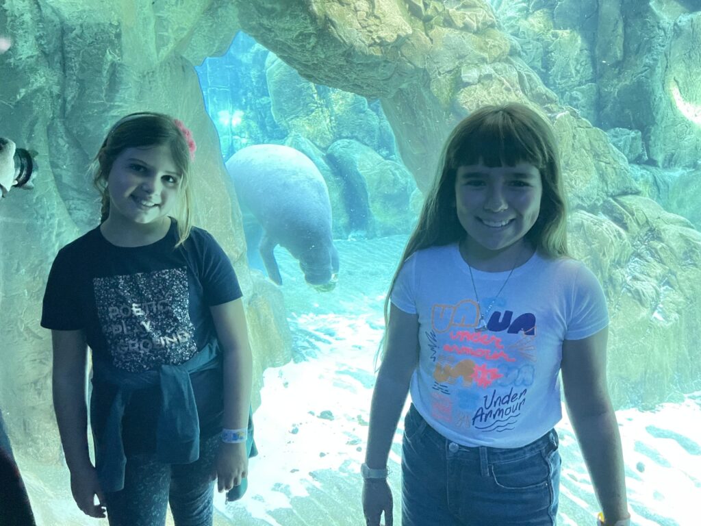 Acquario di Genova. Guida alla visita con i bambini