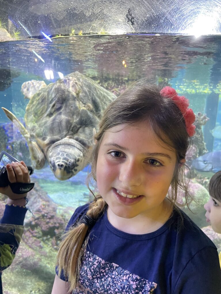 Cosa vedere e cosa fare all'Acquario di Genova con i bambini