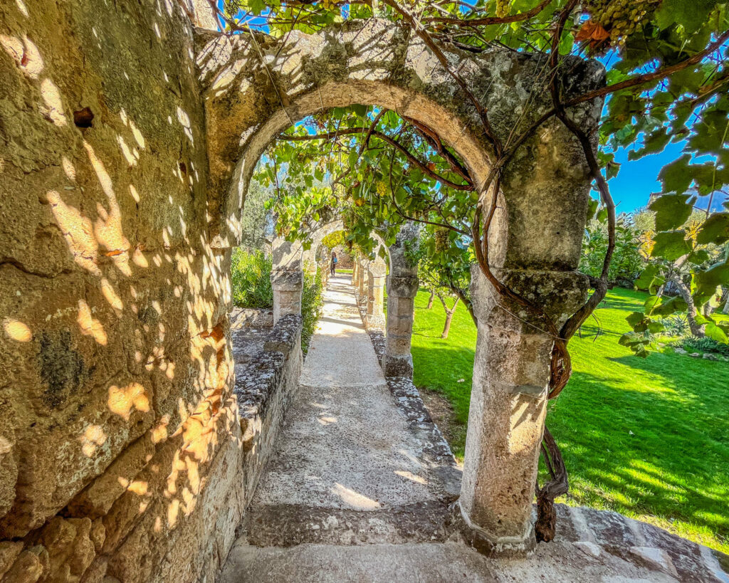 Masseria spina a Monopoli. soggiorno esperenziale.