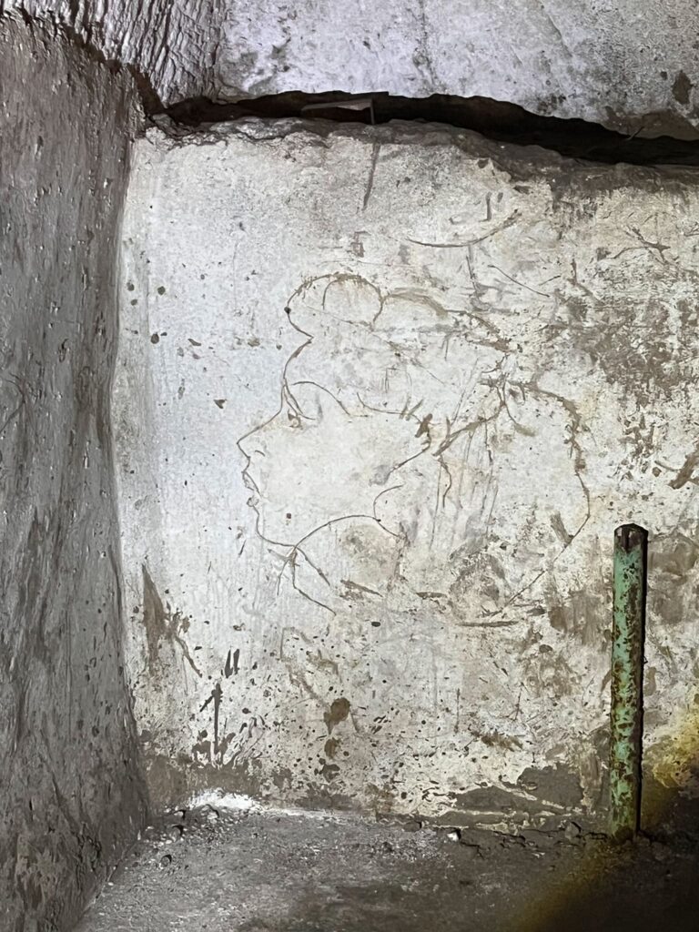 La Napoli Sotterranea Laes. Guida alla visita