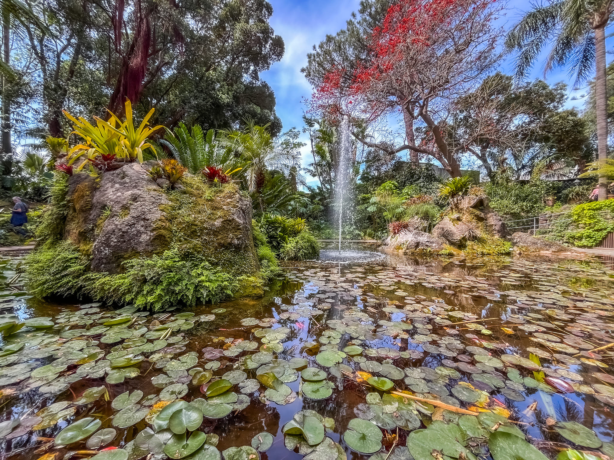 Giardini la Mortella a Ischia. informazioni e guida alla visita.