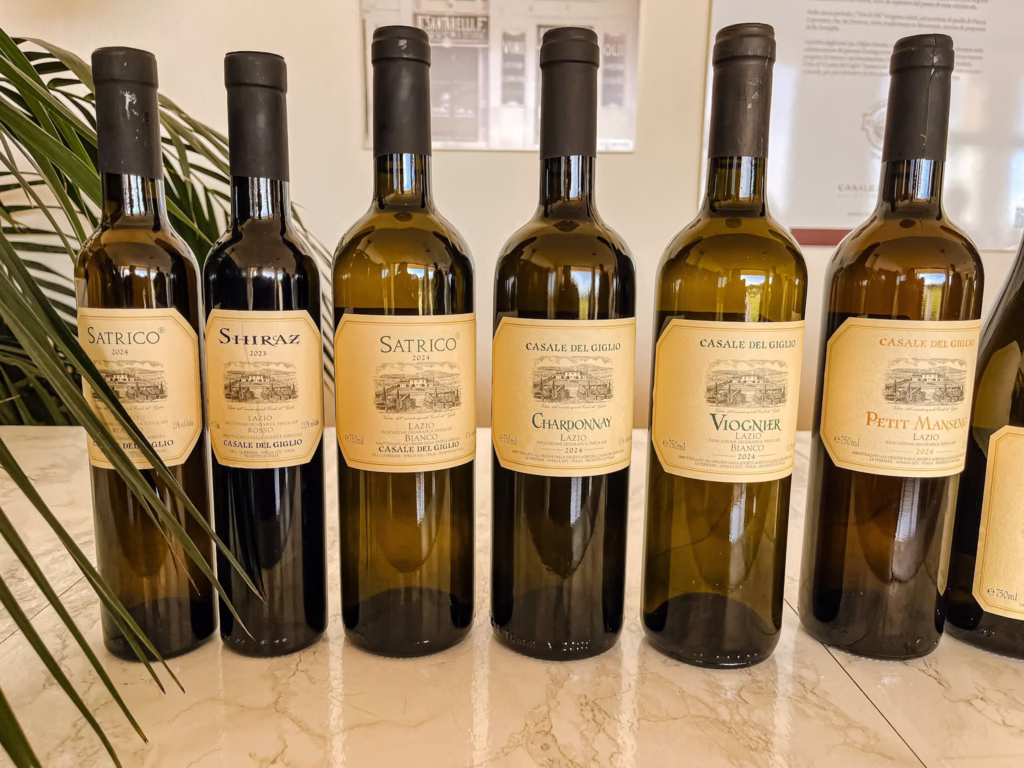 Cantina vinicola lazio Casale del Giglio, degustazione e visita in cantina Cantina vinicola lazio Casale del Giglio, degustazione e visita in cantina