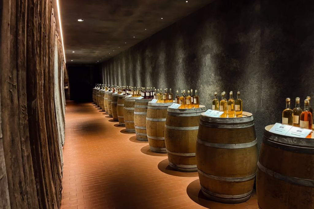 Cantina vinicola lazio Casale del Giglio, degustazione e visita in cantina Cantina vinicola lazio Casale del Giglio, degustazione e visita in cantina